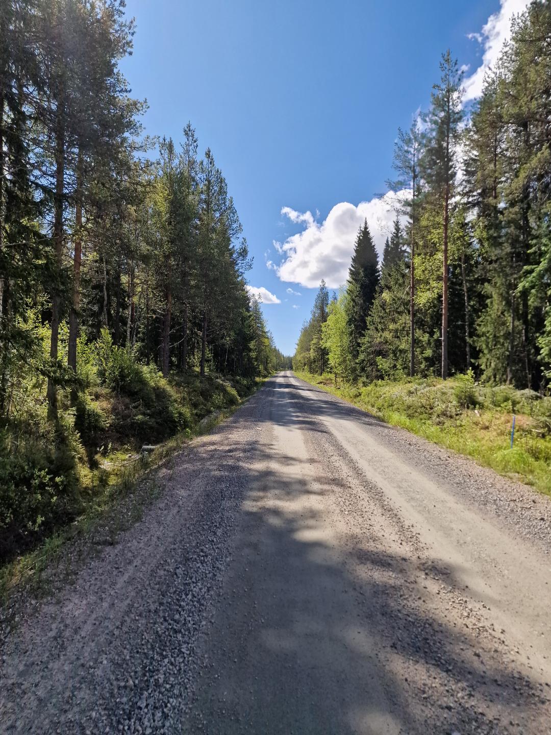 A long straight gravel road, surrounded by trees