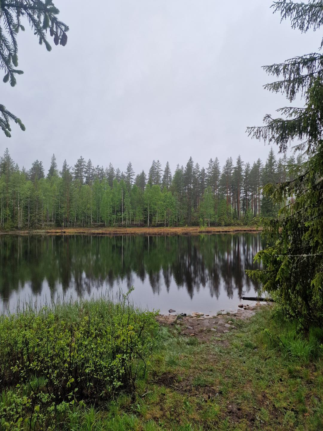 A silent lake with trees reflecting in the water. The clouds are gray, full of rain.